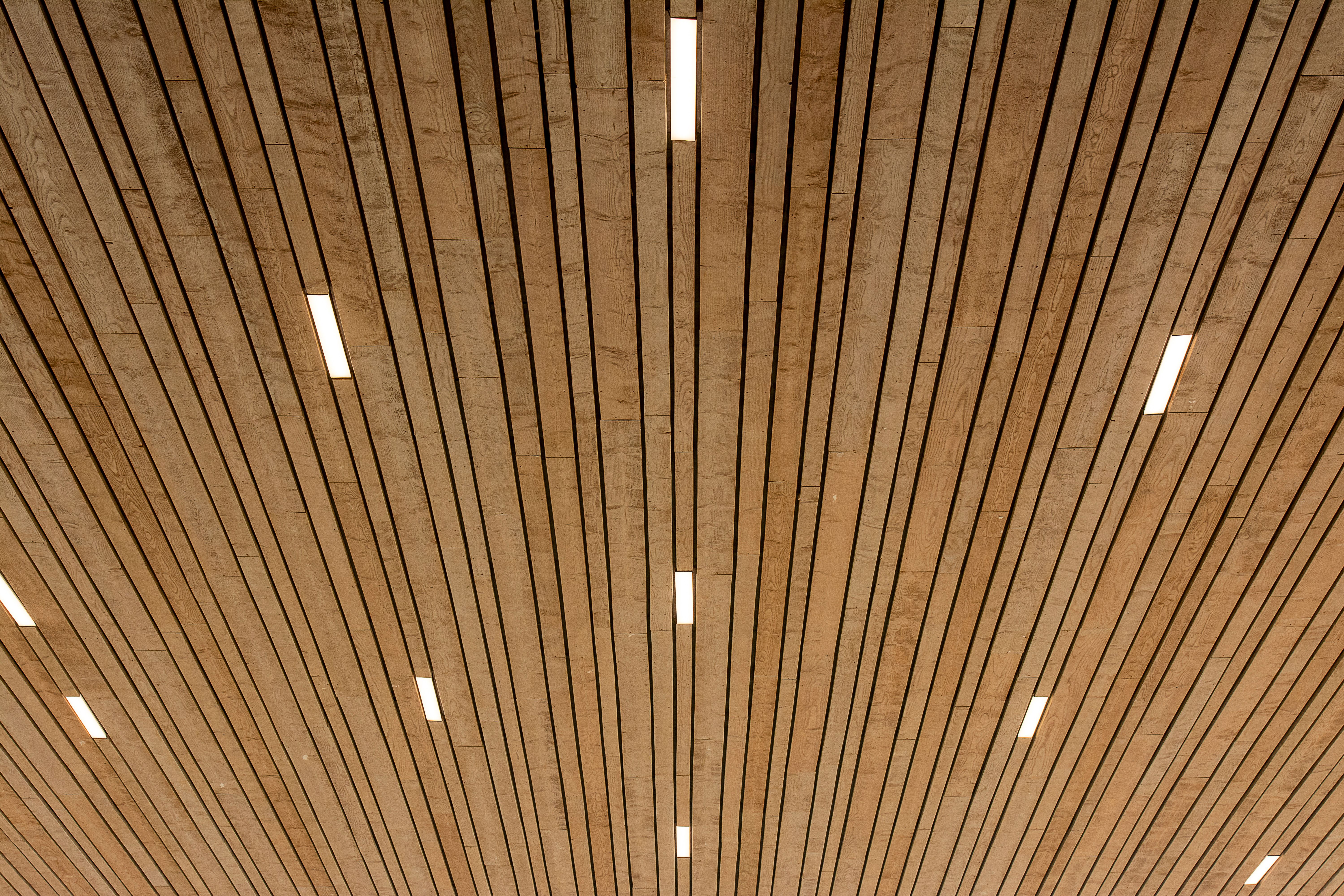 Ceiling Panels